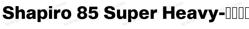 Shapiro 85 Super Heavy字体转换
